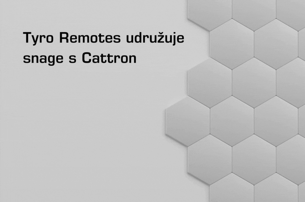 Tyro Remotes